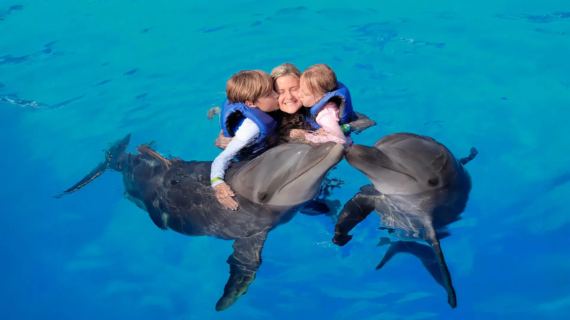 Nado con Delfines Signature