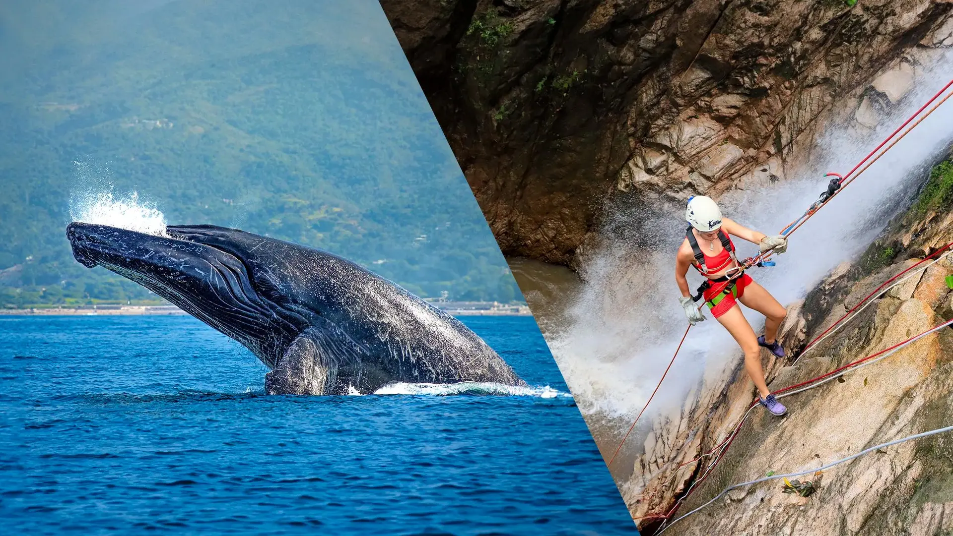 Whale Watching + Outdoor Adventure