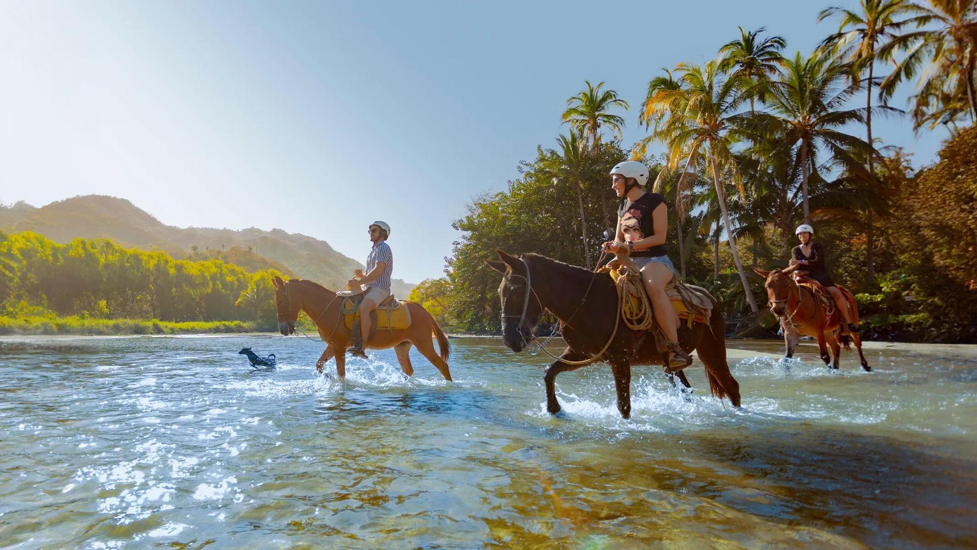 Sea Safari & Beach BBQ