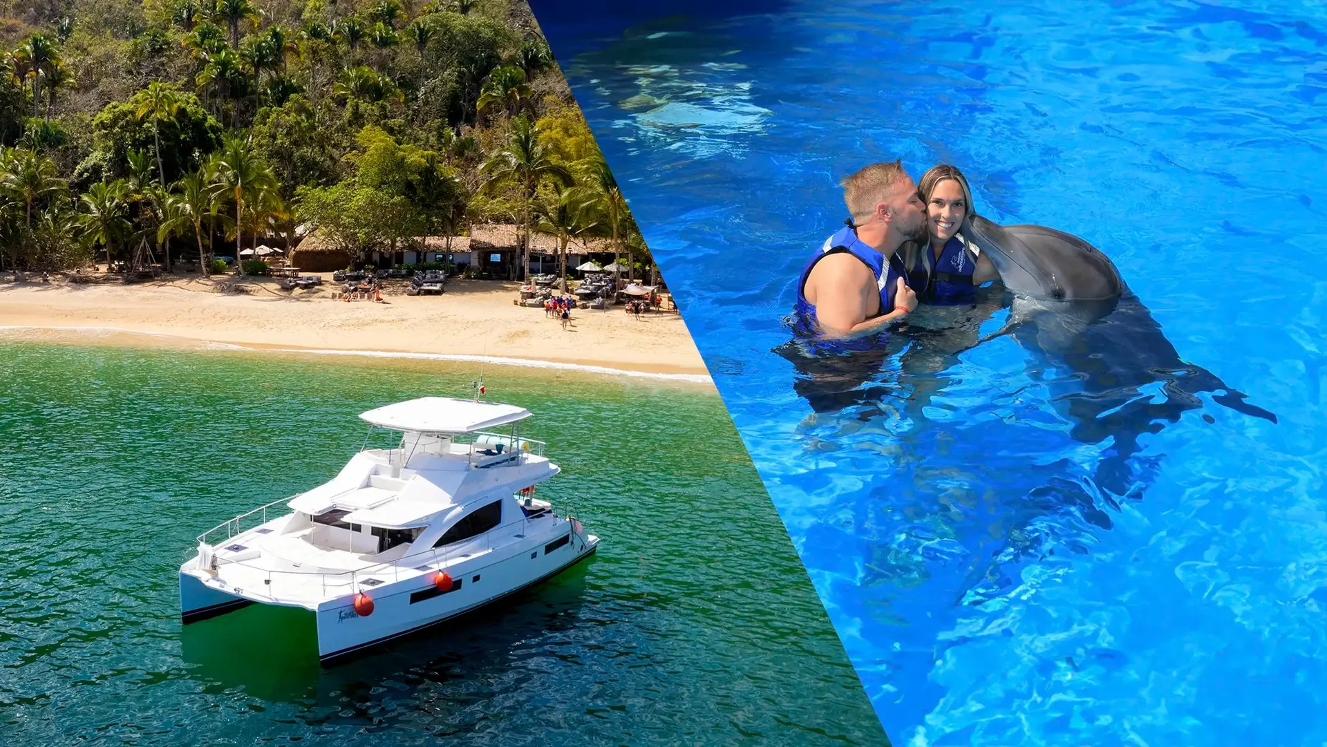 Luxury Snorkeling + Dolphins