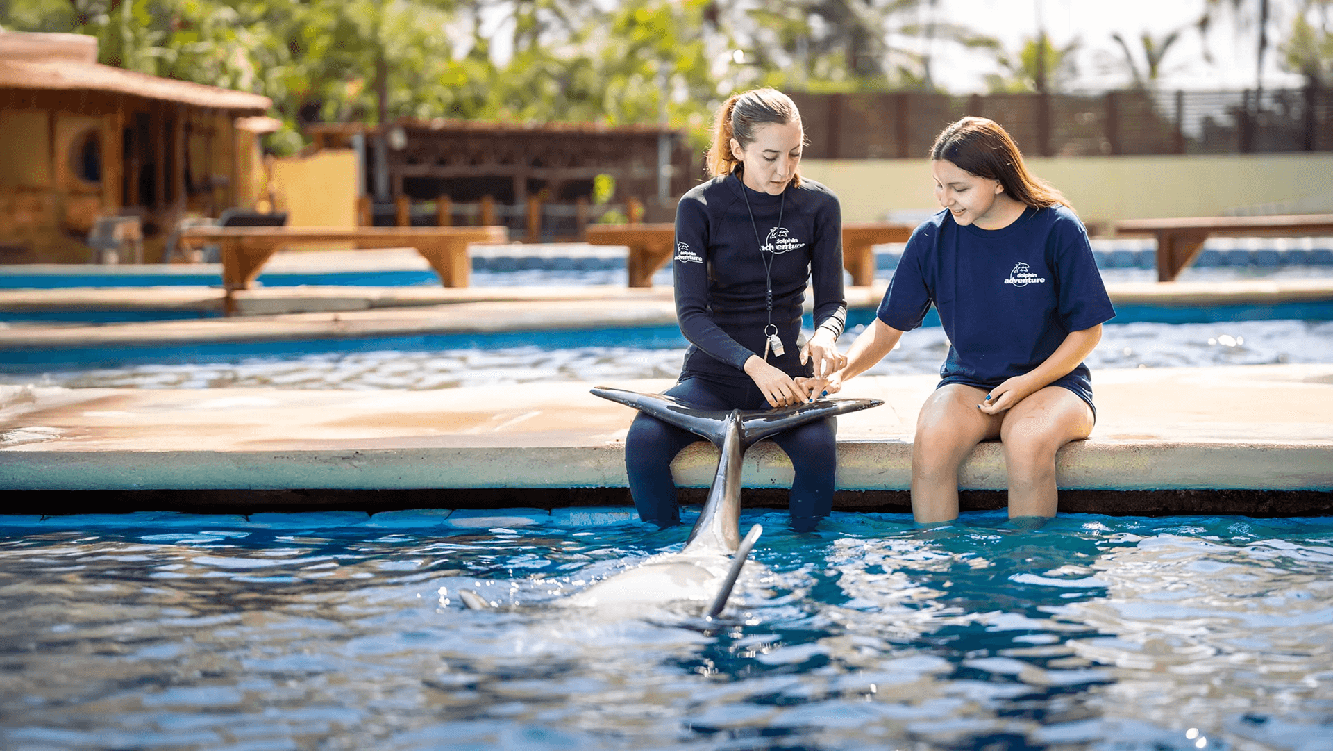 Marine Mammal Trainer for a Day