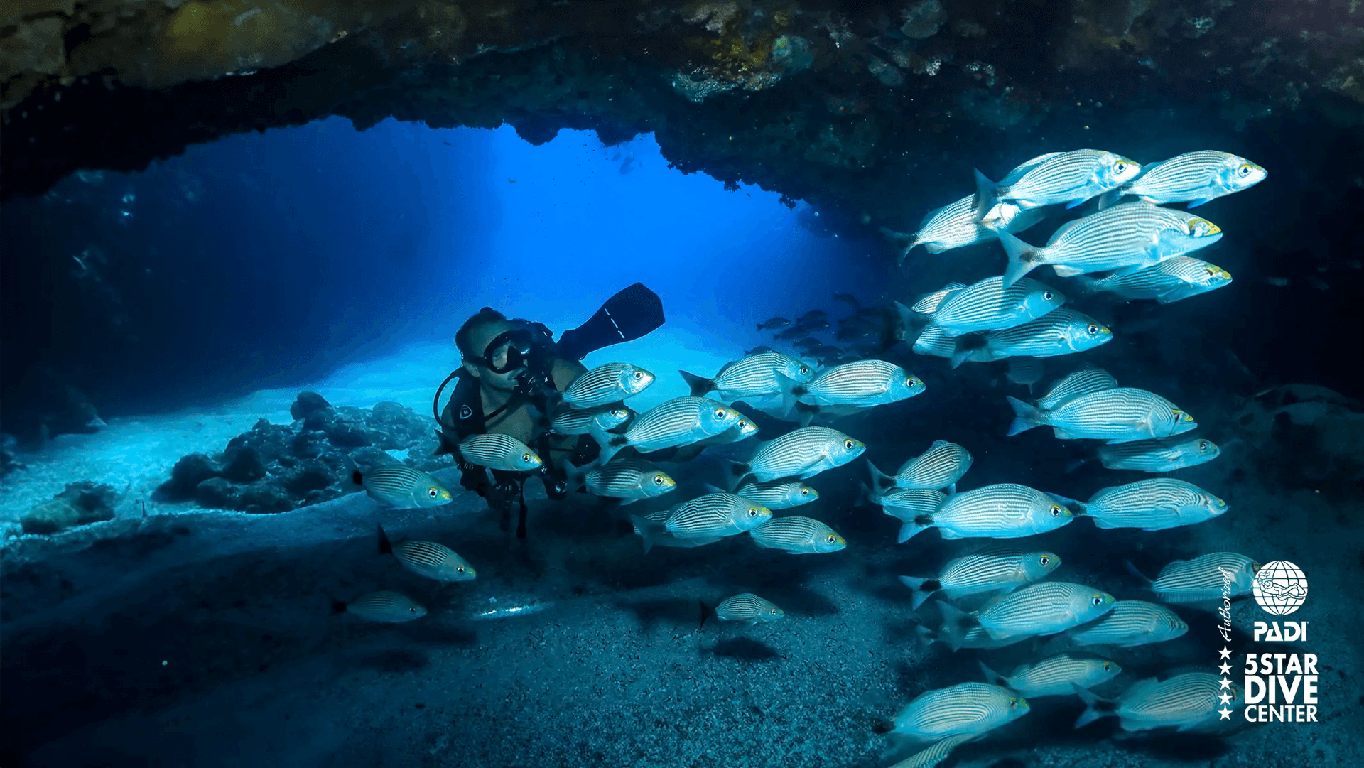 Private Diving at Los Anegados
