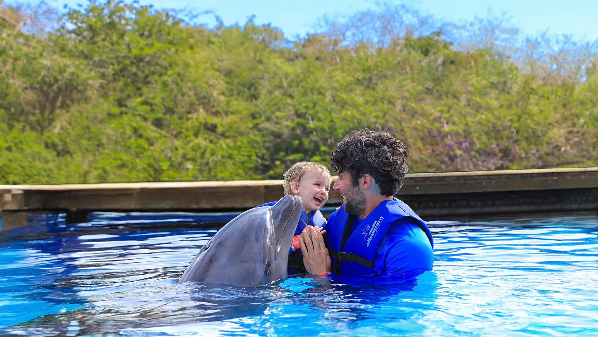 Encuentro con Delfines