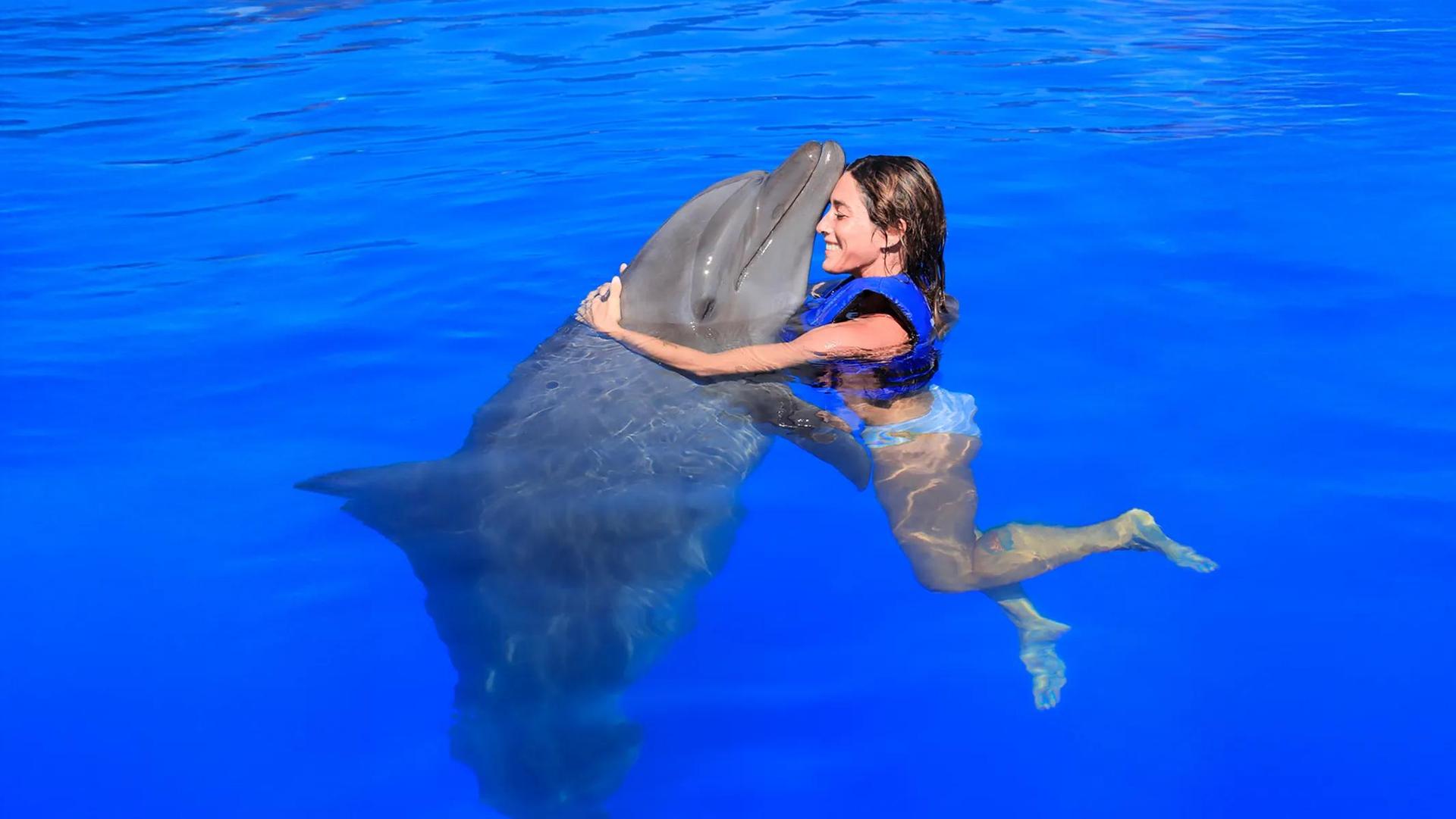 Experiencia Premium con Delfines y Lobos Marinos